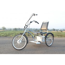 E-Tricycle TRIO