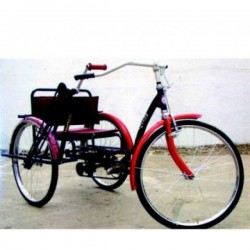Hand Driven Paddle Drive Tricycle