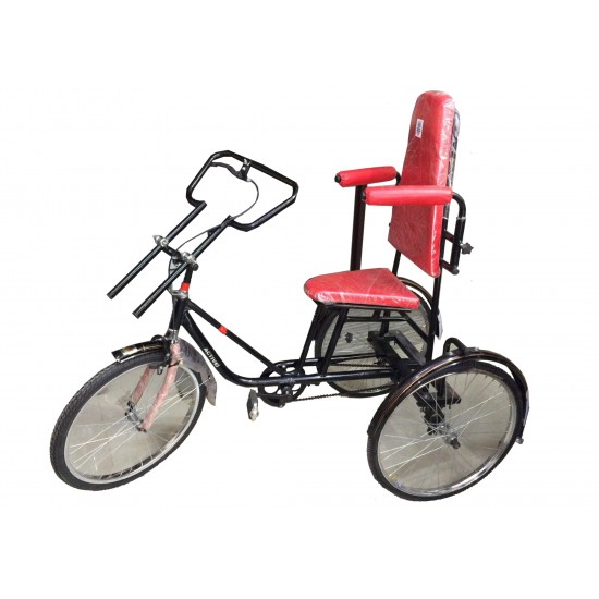 Paddle Drive Tricycle