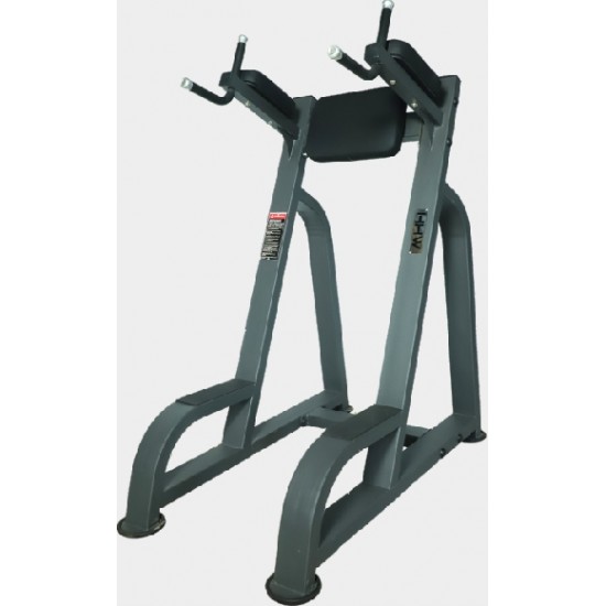 VERTICAL KNEE UP / DIP H-6047