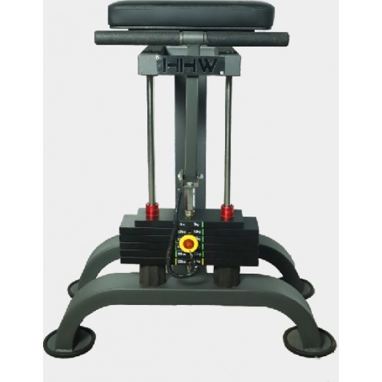 WRIST CURL H-6051